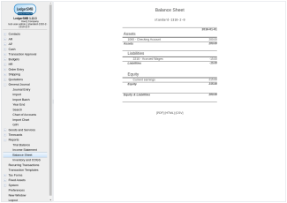 Income statement report